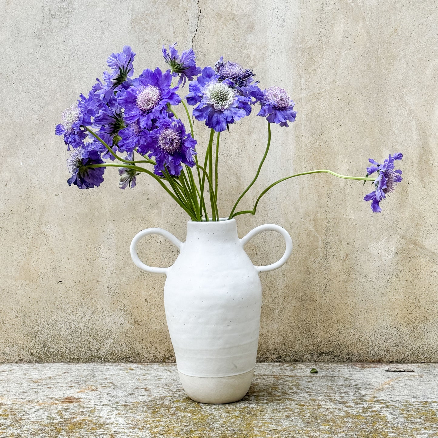 bud vase with loop handles medium